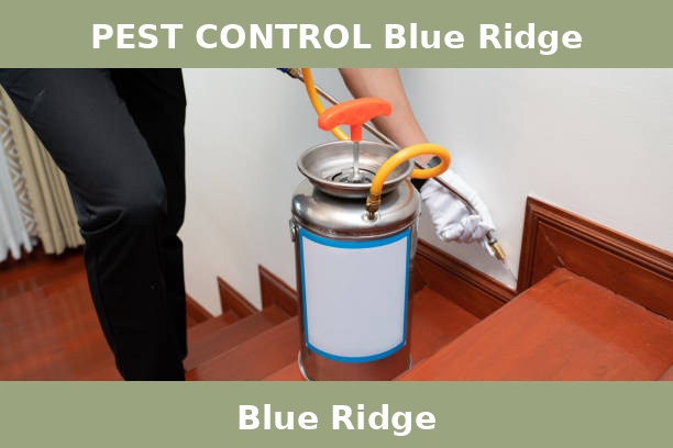 PEST CONTROL Blue Ridge